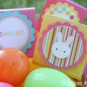 Easter lollipop covers