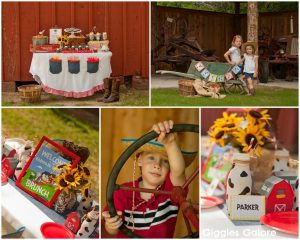 Barnyard buddies brunch party