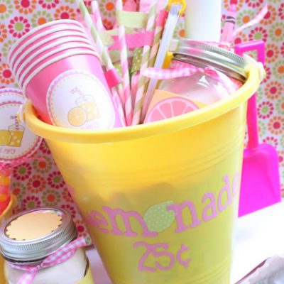 Lemonade Stand Kit