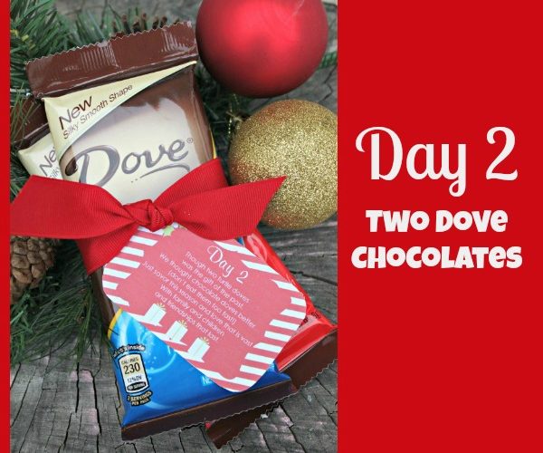 Day+2 two+turtle+doves giggles+galore