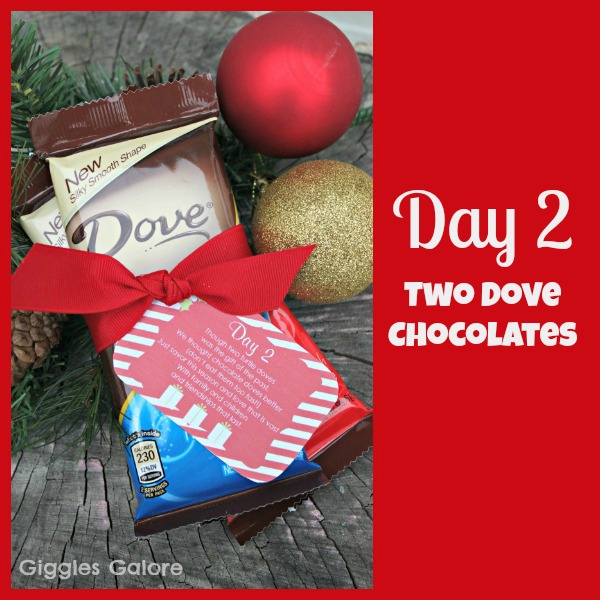 12 Days of Christmas Service: {Day 2} Two Turtle Doves - Giggles Galore