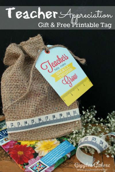 Teacher appreciation gift and free printable tag