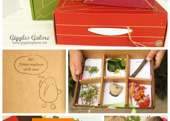 Explore with kiwi crate