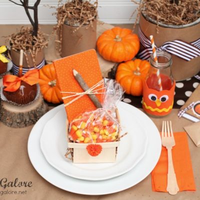 Whoo’s Thankful Kids Thanksgiving Table Setting