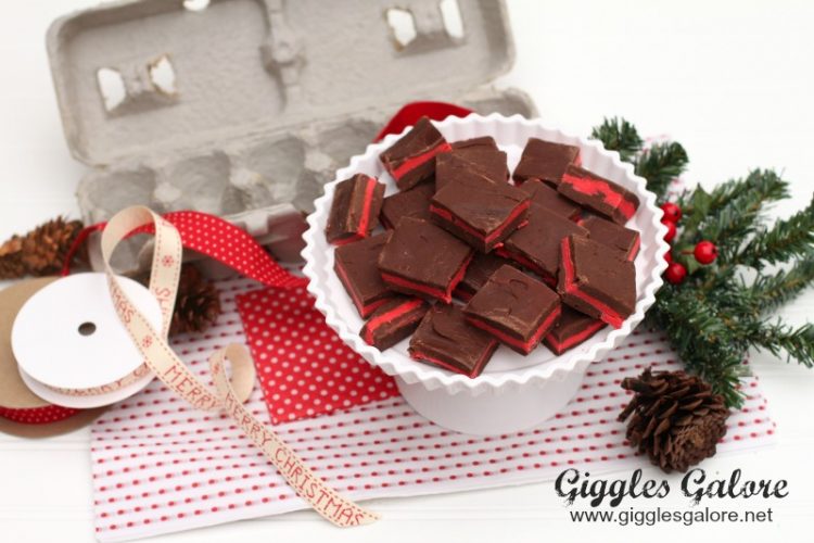 Peppermint fudge christmas gift