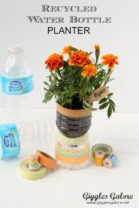 Recycled water bottle planter giggles galore
