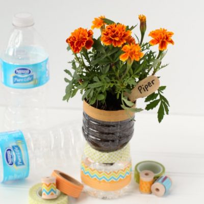 Recycled Water Bottle Planters