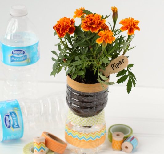 Recycled water bottle planter giggles galore