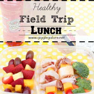 Healthy Field Trip Lunch Ideas