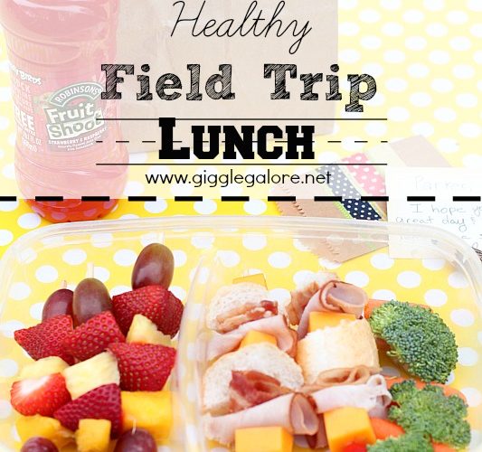 Healthy field trip lunch giggles galore