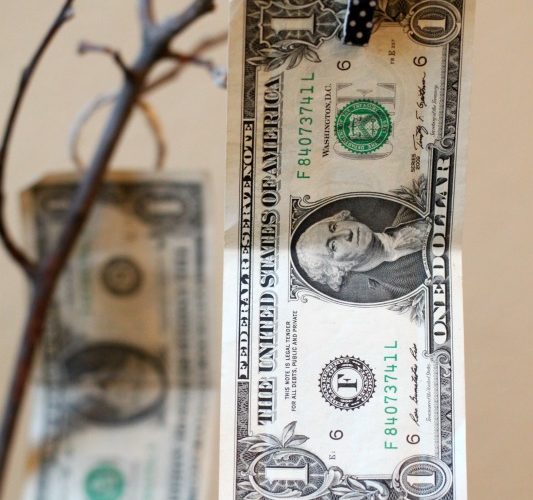 Money on money tree