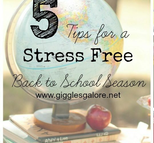 5 tips for a stress free back to school season