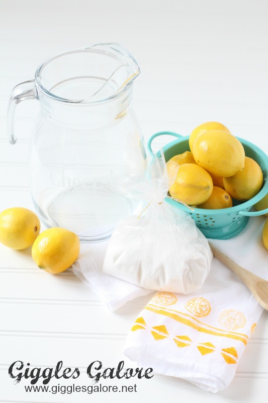 DIY Personalized Homemade Lemonade Gift
