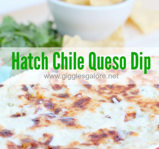 Hatch chile queso dip by giggles galore