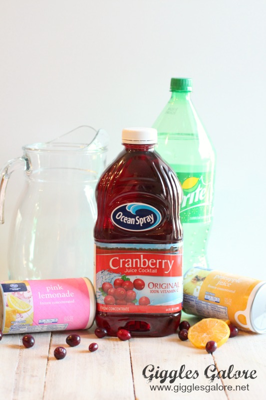 Holiday Cranberry Punch Ingredients