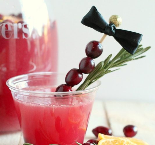 The best holiday cranberry punch giggles galore