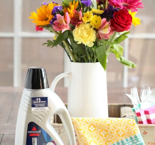 Bissell deep clean pro febreze formula