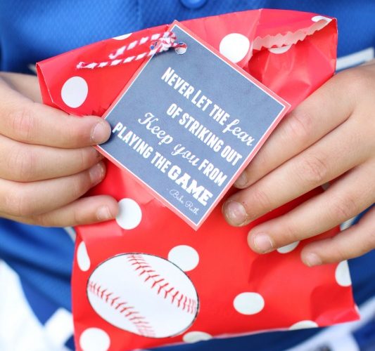 Tball favor bag
