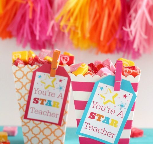 You are a star teacher gift