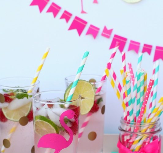 Raspberry lemonade mojito party drink