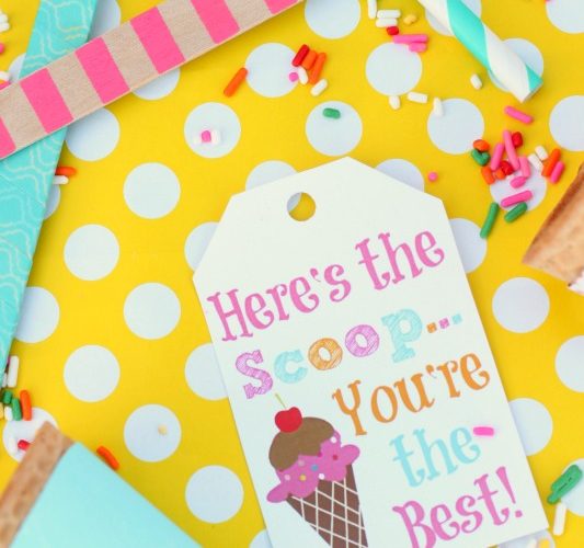 Ice cream scoop tags