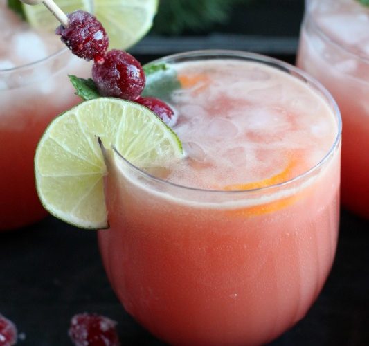 Cranberry orange sparkling punch giggles galore