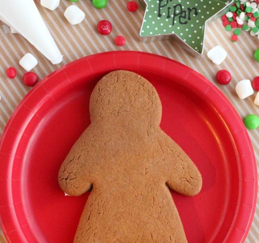 Gingerbread cookie decorating party with ornament placecards