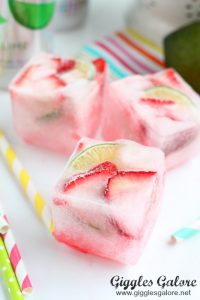 Fruit infused large ice cubes