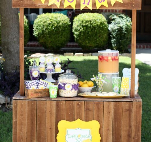 Lemonade for livy lemonade stand