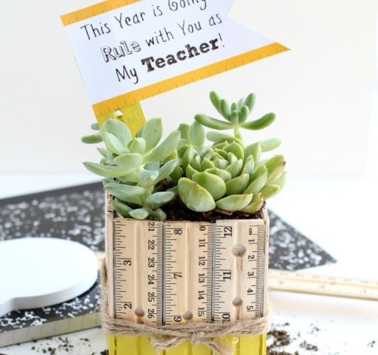 Succulent ruler planter teacher gift