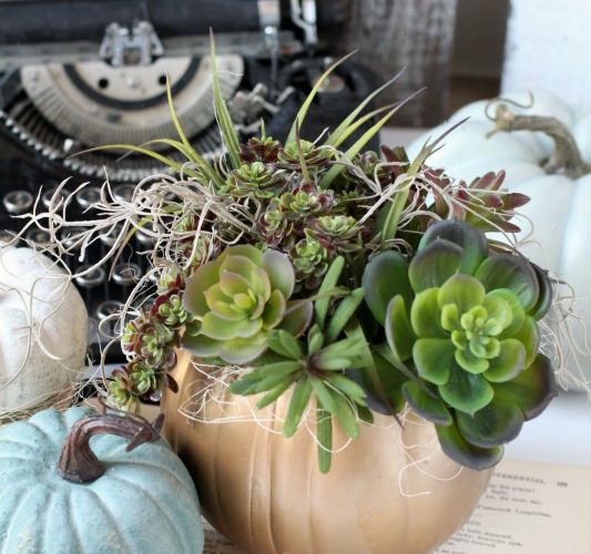 Diy succulent pumpkin planter fall decor