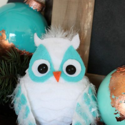 DIY Winter Owl Craft