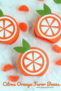 Citrus orange favor boxes giggles galore