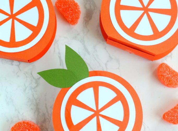 Citrus orange favor boxes giggles galore