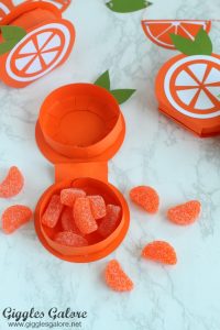 Citrus Orange Favor Boxes - Giggles Galore