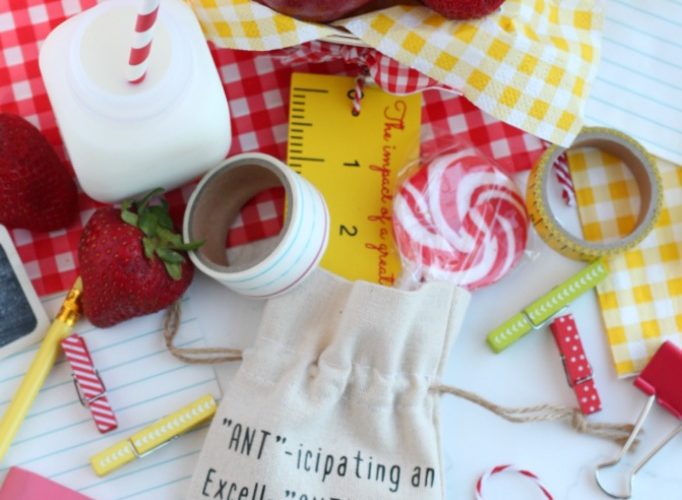 Back to school picnic party favor bags