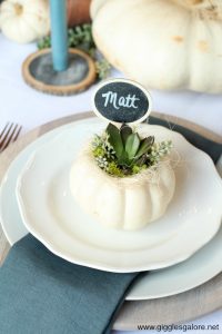 Fall pumpkin succulent placecard
