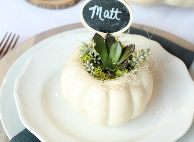 Fall pumpkin succulent placecard