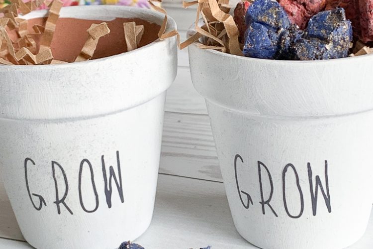 Everyday party magazine seed bomb diy 7