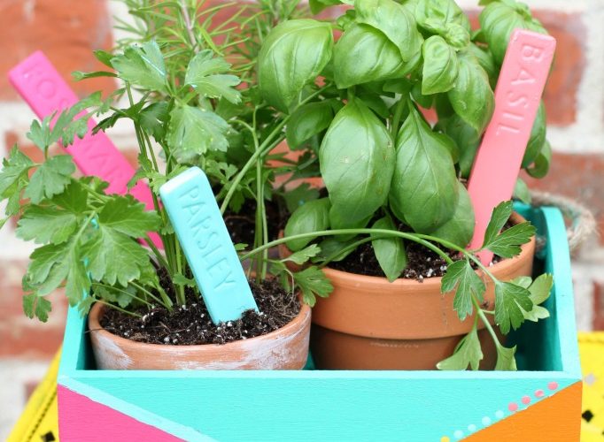 Colorful painted herb garden planter box