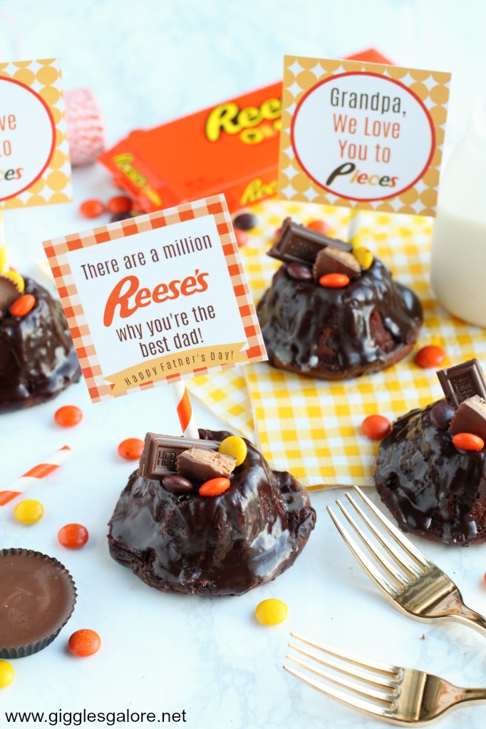 Reeses chocolate bundt cake withfathers day tags