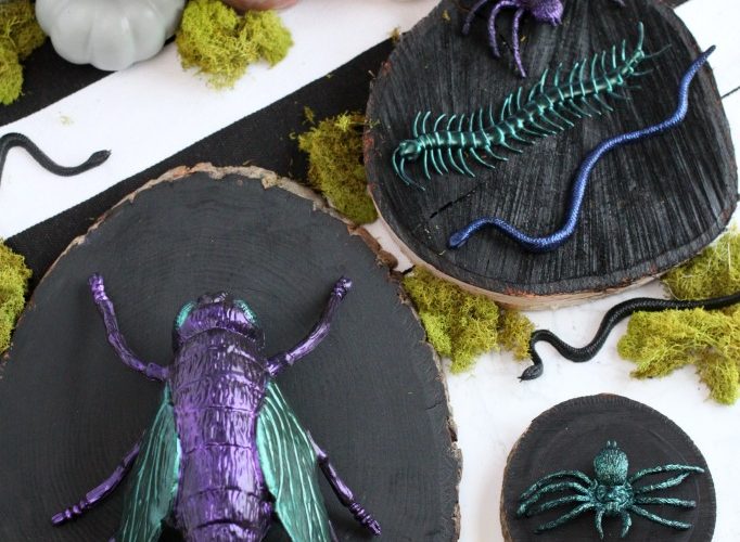 Creepy halloween specimen art vignette