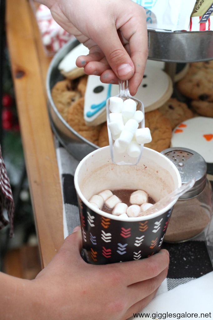 Hot cocoa with marshmallows