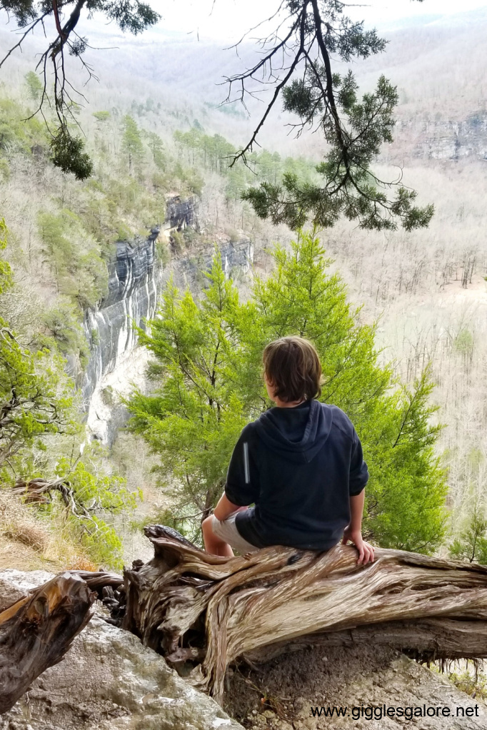 Buffalo river bluff hike Buffalo river bluff hike