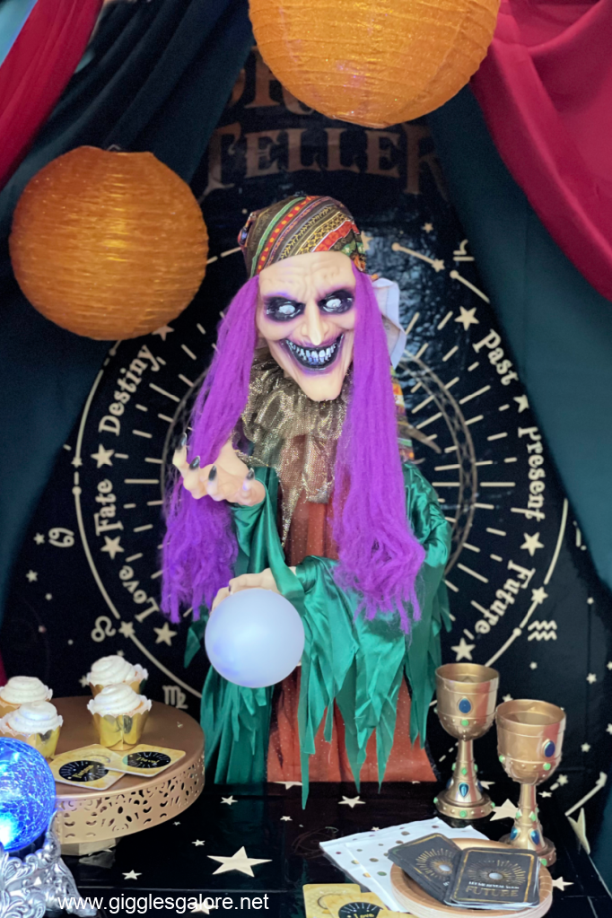 Gypsy Witch Fortune Teller