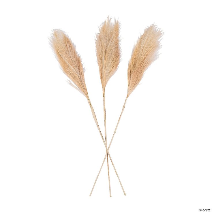 pampas grass 3 pc 13829612